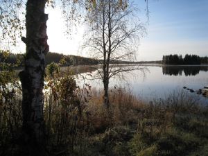 Soluppgång vid sjön